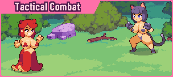 1739782192484-combat_image1.gif